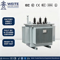 Transformateur de distribution triphasé immergé dans l'huile, entièrement scellé, 33 kV 35 kV, 250 kVA 800 kVA 2000 kVA, aluminium cuivre, refroidissement ONAN, CE