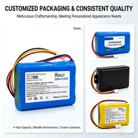 Batterie Li-ion rechargeable OEM personnalisée pour drones, caméras de maison connectée, haut-parleurs - Remplacement portable 3.7V/6.0V/10.8V/22.2V
