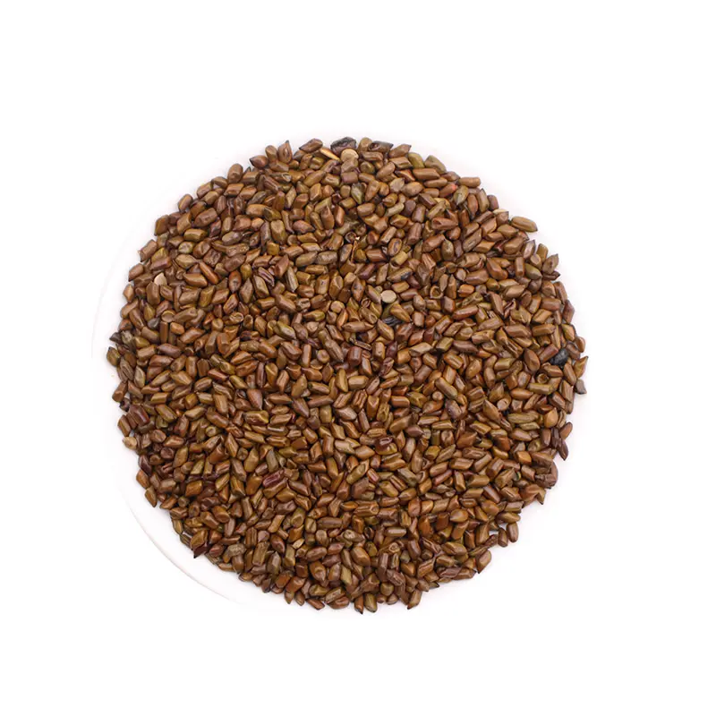 Các nhà máy bán Chất lượng cao phẳng dạ dày sản phẩm cassia hạt giống Trà giảm béo Trà thảo dược
