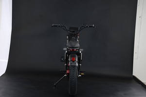 Bicicleta Eléctrica de Montaña Black Warrior 48V con Batería de Litio, Neumáticos Anchos, Motor sin Escobillas en el Buje Trasero, 3 Velocidades y Frenos de Disco - Product Image 3