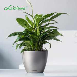 Nouveaux pots <span class=keywords><strong>de</strong></span> plantes durables <span class=keywords><strong>de</strong></span> taille mini <span class=keywords><strong>Pot</strong></span> <span class=keywords><strong>de</strong></span> fleurs blanc à arrosage automatique avec plastique conçu pour un usage domestique Polypropylène <span class=keywords><strong>peint</strong></span> - Product Image 5