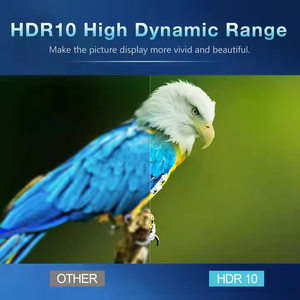 Tv98 <span class=keywords><strong>Android</strong></span> 8k Set Top Box mạng wifi điều khiển từ xa Allwinner H313 Allwinner 64GB 4GB TV Box - Product Image 5