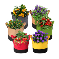 Sacs de culture en tissu non tissé avec poignées, robustes, pour fraises, pommes de terre, tomates, légumes, jardinage