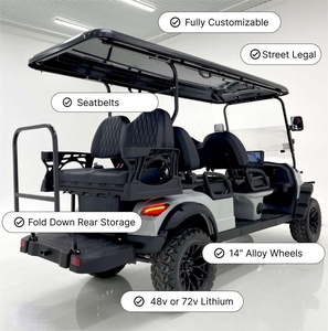 TongCai 2025 Nuevo Diseño I+D Personalización de Fábrica Carro de Golf Eléctrico con Batería de Litio para 6 Personas, 4 Asientos, Todoterreno - Product Image 6