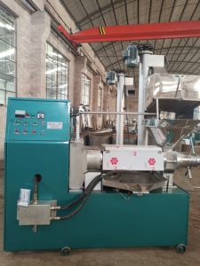 Estrazione di benzina di arachidi palmare pressatura lavorazione di fresatura vite olio freddo macchina pressa per India - Product Image 2