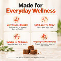 Friandises probiotiques pour chiens prêtes à l'emploi : Lactobacillus, Bacillus, Citrouille et Enzymes digestives pour une qualité normale des selles – Pot de 300g