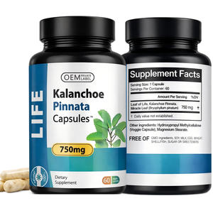 ใบคาลันโชเอะ พินนาตา (bryophyllum Pinnatum) ใหม่ 60 แคปซูล 750 มก. อาหารเสริมเกรดอาหารเพื่อสุขภาพ แบรนด์ OEM อายุการเก็บรักษา 2 ปี - Product Image 3