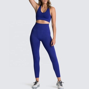 Reggiseno sportivo da donna e Leggings Fitness senza soluzione di continuità all'ingrosso abbigliamento da palestra set di Activewear per allenamento Yoga - Product Image 5