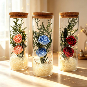 Regalo de San Valentín <span class=keywords><strong>AIDA</strong></span>, Botella de Vidrio con Rosas para Enamorados, Regalo Sorpresa de Cumpleaños para Esposa, Novia, Fiesta, LED Romántico de Ensueño - Product Image 1