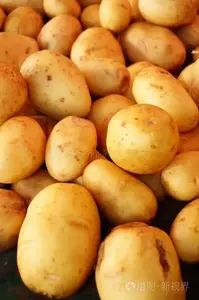 Serpihan Kentang Segar Berkualitas Tinggi Varietas Belanda Panen Terbaru untuk Pasar Grosir - Product Image 3