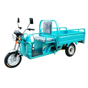 China hot saleCheap e-Trikes 3 wheel Cargo Electric Tricycles Motorcycle Three Wheel Adult