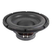 Haut-parleur de subwoofer OEM haute fidélité à bobine simple 100W RMS 10 pouces 12V pour basses profondes pour l'intérieur de voiture