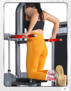 Máquina de Dominadas Asistidas Comercial con Logotipo Personalizado OEM ODM, Directo de Fábrica para Gimnasios, Estudios y Clubes - Product Image 4