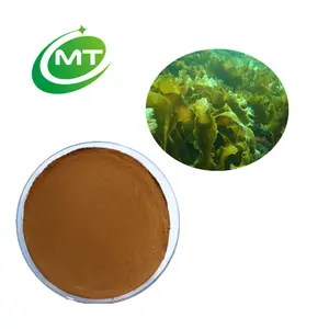 MT sức khỏe Hữu Cơ undaria pinnatifida Wakame fucoxanthin chiết xuất bột