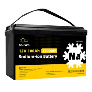 Batería de iones de sodio de 12V y 100Ah para exteriores, portátil, resistente a bajas temperaturas, para camping, RV