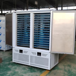 Congelatori a bassissima temperatura di meno 40 gradi tonni per congelamento del pesce armadietto veloce per apparecchiature con padelle da 30 GN - Product Image 4