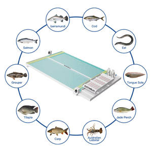 Projet d'élevage <span class=keywords><strong>de</strong></span> poissons et <span class=keywords><strong>de</strong></span> crevettes d'<span class=keywords><strong>eau</strong></span> <span class=keywords><strong>douce</strong></span> <span class=keywords><strong>de</strong></span> nouvelle technologie système d'aquaculture à recirculation filtre biologique pisciculture - Product Image 1