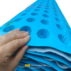 Système de tapis de solution de drainage mural vertical Panneau de drainage résistant aux racines avec géotextile à noyau personnalisé pour terrasses vertes - Product Image 5