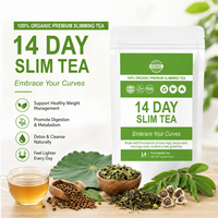 Thé Détox Minceur 14 Jours, Herbal, 3g, 14 Sachets, Perte de Poids Naturelle, Ventre Plat, Brûleur de Graisse, OEM, Marque Privée
