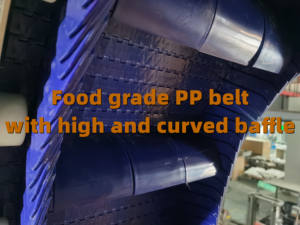 Odak makineleri yeni l-şekilli kemer dikey ve eğimli çip konveyör üretim tesisleri için büyük plastik hazne ile - Product Image 3