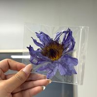 Fleur de lotus bleu entière fraîche de haute qualité, provenant de notre propre jardin (Nymphaea Caerulea), sachets de thé aux herbes pour la santé, feuilles naturelles fumeuses
