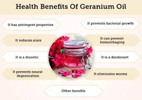 Huile Essentielle de Géranium 100% Pure et Naturelle, Prix de Gros, Huiles Essentielles Originales pour le Corps, le Spa et les Cheveux