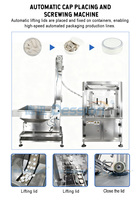 Machine d'emballage automatique pour sachets de caféine et de snus énergétique, qualité alimentaire, prix usine, en promotion
