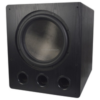 Subwoofer Activo de 15 Pulgadas con 1000W RMS BW15 y Amplificador de Potencia para Home Theater