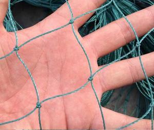 Lưới Kiểm Soát Chim Ổn Định Ánh Sáng UV Bằng <span class=keywords><strong>Polypropylene</strong></span> Không Co Giãn Lưới Nuôi Cá Chống Chim Thắt Nút - Product Image 4