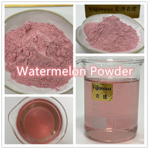 Poudre de jus de pastèque séchée biologique, échantillon gratuit, soluble dans l'eau - Product Image 2