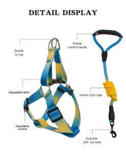 สายจูงสุนัขและสายรัดไนล่อนสีสันสดใสปรับได้พร้อมห่วงรูปตัว D คู่ - Product Image 5