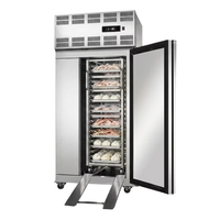 Armoire réfrigérée en acier inoxydable haute vitesse, idéale pour les restaurants proposant du poisson, des fruits de mer et de la viande.