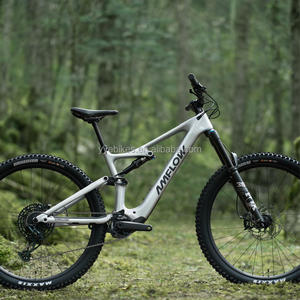 Sepeda gunung listrik DJI Amflow <span class=keywords><strong>PL</strong></span> Carbon Pro 800wh Avinox M1 Drive rangka serat karbon ultra ringan suspensi penuh ebike - Product Image 3