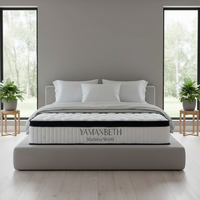 Matelas Queen Size hôpital moderne – Ressorts ensachés, rafraîchissant, personnalisable, sous vide, adulte/enfant, roulable