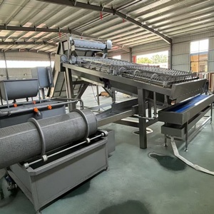 Máquina Peladora y Desvenadora de Camarones Frescos de Acero Inoxidable 304, Máquina para Quitar la Piel de Camarones sin Dañar la Piel - Product Image 6