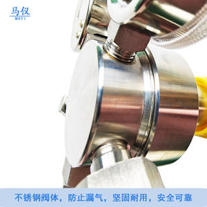 Suministro Directo de Fábrica, Reductores de Presión de Doble Manómetro de Acero Inoxidable 316, Válvulas Reductoras de Presión de Amoníaco YQA-441/YQA-401 - Product Image 4