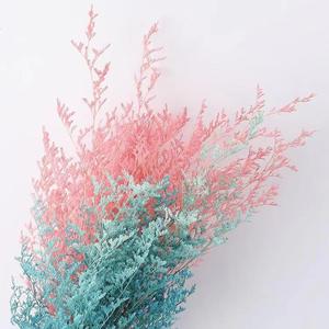 Venta al por mayor blanqueada San Valentín amante hierba para decoración del hogar Ramos para Pascua y Halloween ocasiones limonio conservado - Product Image 5