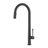 Robinet de salle de bain contemporain en laiton de bonne qualité avec douchette extractible noir
