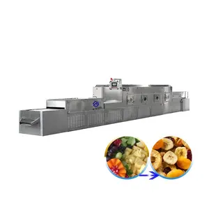 Tunnel Best Price Commercial Flower Food Fruit Vegetables Industrial Stainless Steel Microwave Tunnel Dryer Dehydrator Machine