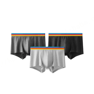 Calzoncillo bóxer de cintura arcoíris con logotipo personalizado, calzoncillos de pierna corta transpirables, ropa interior de algodón orgánico para hombre, bóxer de alta calidad para hombre - Product Image 1