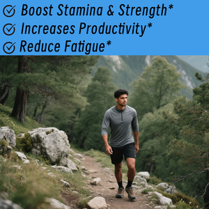 Gummies OEM Beauté Pure Shilajit de l'Himalaya Or avec Résine d'Asphaltum Punjabianum pour Booster l'Endurance, la Force et Réduire la Fatigue - Product Image 5