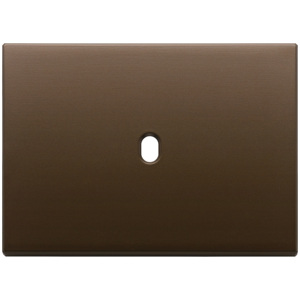 Placa de Puerta Vintage en Bronce Oscuro Cepillado de 12.5x9.5 cm con Orificio para Llave - Product Image 1
