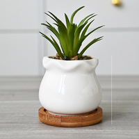 Kit de petits pots de fleurs charnus émaillés en céramique blanche pour le jardinage moderne petits pots de plantation en céramique
