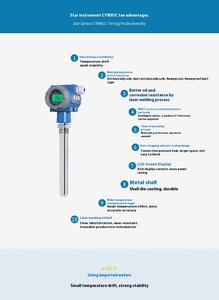 Sensor de Nível de Inserção de Tanque de Combustível de Pressão Estática em Aço Inoxidável CYW81C, Transmissor e Medidor de Nível de Óleo, Certificado CE, OEM/ODM - Product Image 4