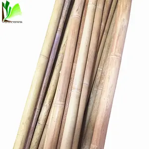 Vente en gros de canne en bambou Tonkin brute droite et sèche naturelle pour jardin