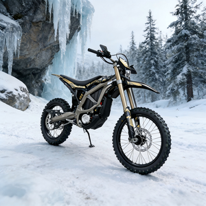 Édition Limitée Marron 21kW 60Ah Longue Portée Desert <span class=keywords><strong>Runner</strong></span> Surron Ultra Bee pour l'Aventure 2026 - Product Image 1