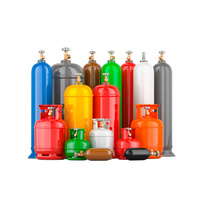 Système de gaz à faible consommation énergétique en acier, conçu pour des performances stables, un rendement constant, une utilisation efficace, compatible avec plusieurs énergies, paroi de 2,4 mm
