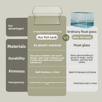 Aquarium carré à filtration latérale avec design éco-paysager et circulation d'eau, pas besoin de changements fréquents d'eau