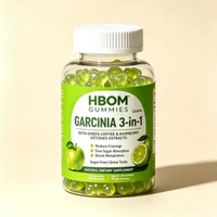 Bonbons gélifiés aux fruits de Ginkgo OEM, bonbons gélifiés réducteurs de lipides, contenant de l'extrait de cétone de thé vert