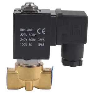 Factory Direct Sale Micro Mini DN2.5~4 Laboratory Equipment Valve 24v 220v Valvula Pneumatic Water Valve Solenoid